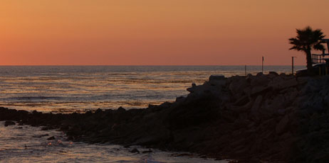 South Bay Lee/Shutterstock.com