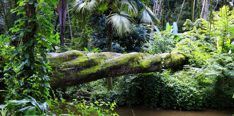 Luiz Rocha/Shutterstock.com
