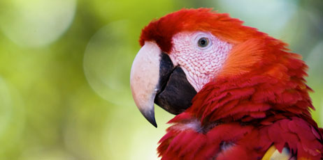 Sam Chadwick/Shutterstock.com