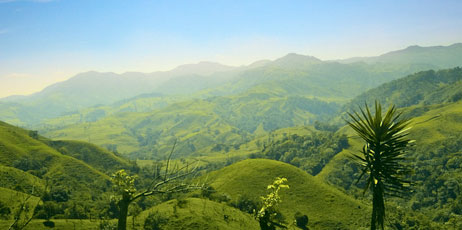 Dmitriy Bryndin/Shutterstock.com