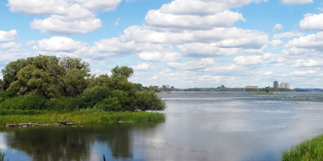 stephen rudolph/Shutterstock.com