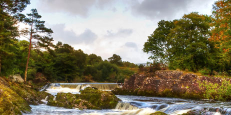 Patryk Kosmider/Shutterstock.com