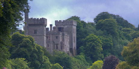 walshphotos/Shutterstock.com