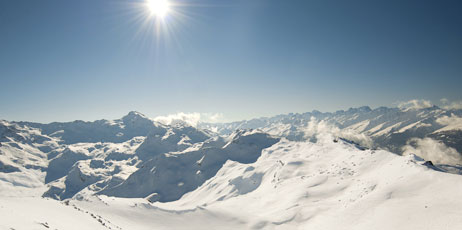 Paul Vinten/Shutterstock.com