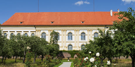 Zyankarlo