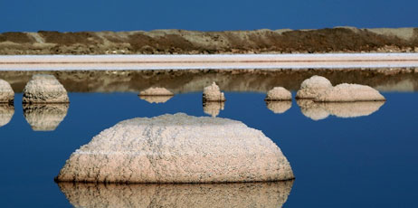 ilan porat/Shutterstock.com