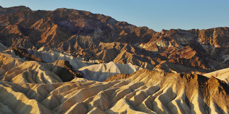 kavram/Shutterstock.com