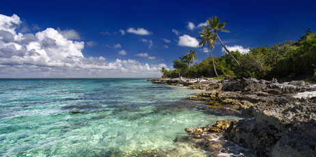 Denis Burdin/Shutterstock.com