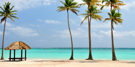 Binu Mathew/Shutterstock.com