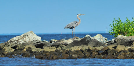 Lone Wolf Photos/Shutterstock.com