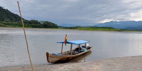Harald Toepfer/Shutterstock.com