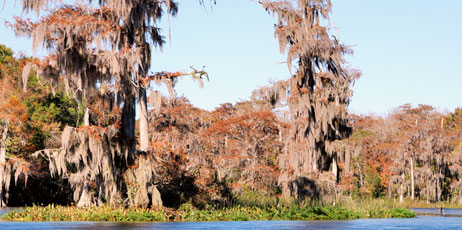 Denis Blofield/Shutterstock.com