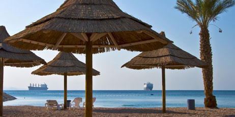 Gorshkov25/Shutterstock.com