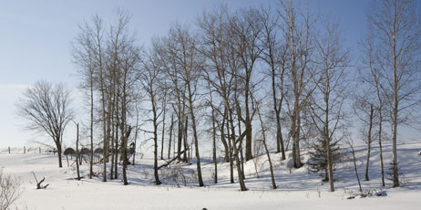 John McLaird/Shutterstock.com