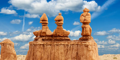 dibrova/Shutterstock.com