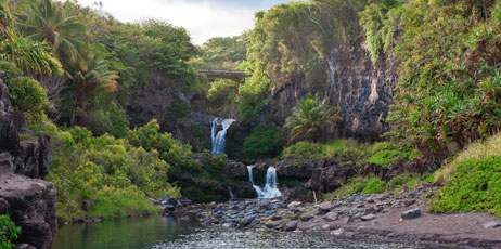 tropicdreams/Shutterstock.com