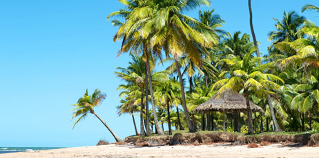 Schmid Christophe/Shutterstock.com