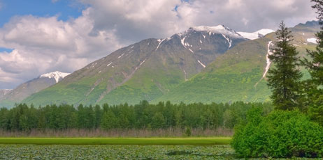 Jeffrey T. Kreulen/Shutterstock.com