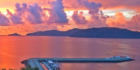 Steven Sum/Shutterstock.com