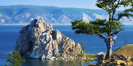 Mikhail Markovskiy/Shutterstock.com
