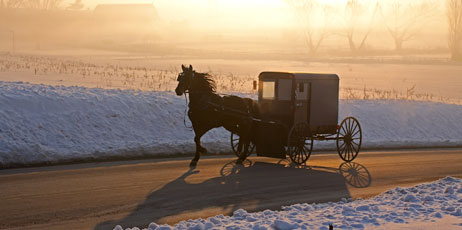 Delmas Lehman/Shutterstock.com