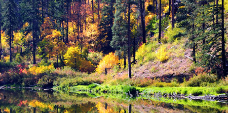 neelsky/Shutterstock.com