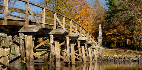 Christian Delbert/Shutterstock.com
