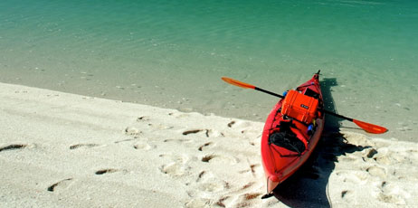Antoni Murcia/Shutterstock.com