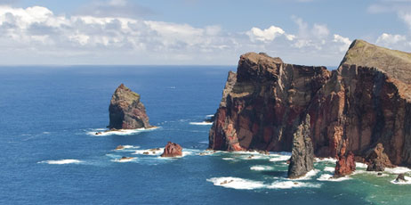 kukuruxa/Shutterstock.com