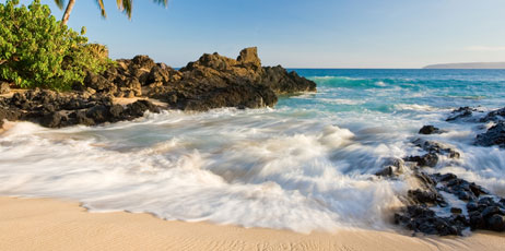 idreamphoto/Shutterstock.com