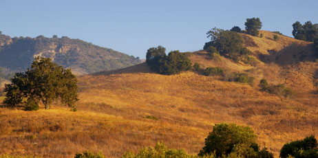 Byron W.Moore/Shutterstock.com