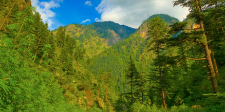 Kandelaki/Shutterstock.com