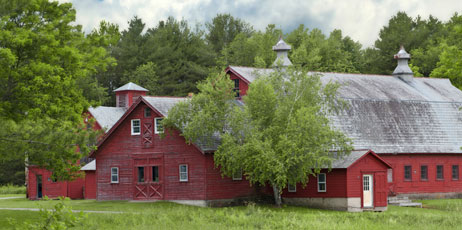 Anne Kitzman/Shutterstock.com