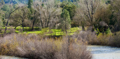 Ann Cantelow/Shutterstock.com