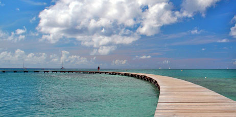 Marc Turcan/Shutterstock.com