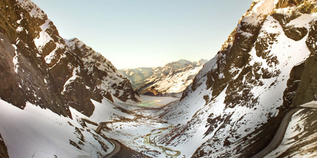 Tifonimages/Shutterstock.com