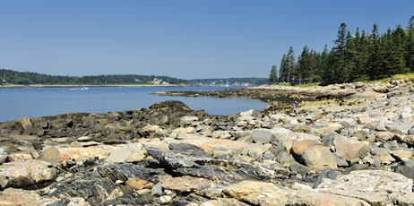 Marianne Campolongo/Shutterstock.com