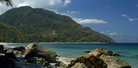 Niar/Shutterstock.com