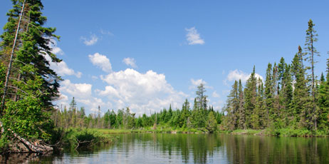 Wildnerdpix/Shutterstock.com