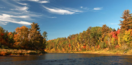cappi thompson/Shutterstock.com