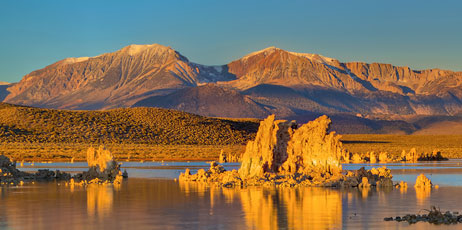 Tung Tran/Shutterstock.com