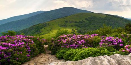 Dave Allen Photography/Shutterstock.com