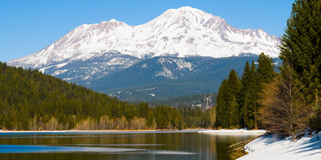 Andy Z./Shutterstock.com