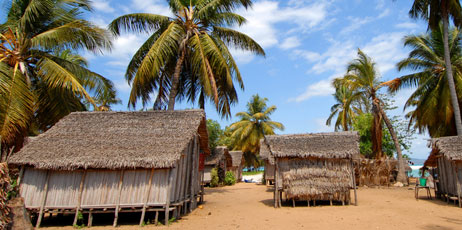africa924/Shutterstock.com