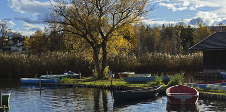 Zyankarlo/Shutterstock.com