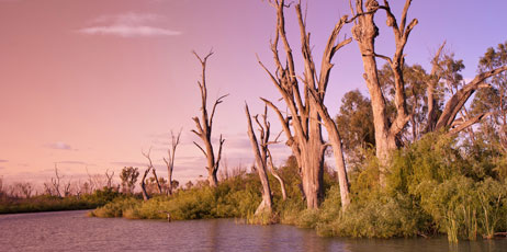 clearviewstock/Shutterstock.com