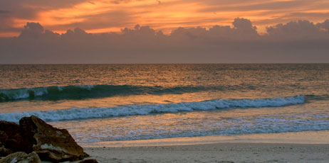 Stephen Orsillo/Shutterstock.com