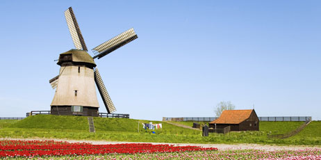Worldpics/Shutterstock.com