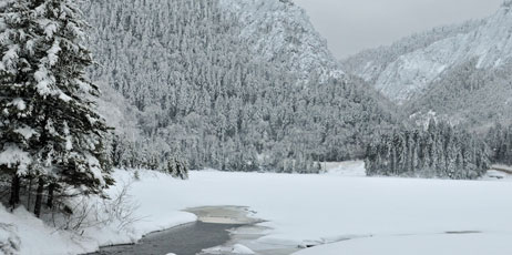Steven Belanger/Shutterstock.com