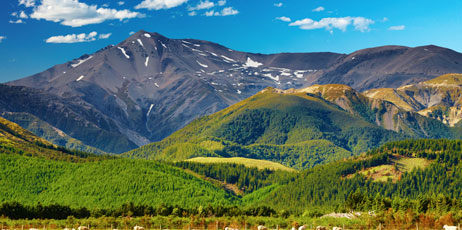 Pichugin Dmitry/Shutterstock.com